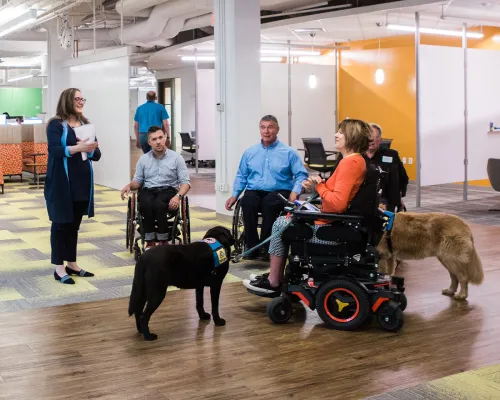 3 personnes en fauteuil roulant avec des chiens